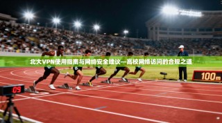 北大VPN使用指南与网络安全建议—高校网络访问的合规之道