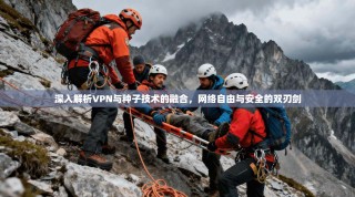 深入解析VPN与种子技术的融合，网络自由与安全的双刃剑