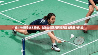 免VPN翻墙技术解析，合法合规使用网络资源的边界与挑战