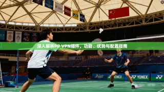 深入解析PP VPN插件，功能、优势与配置指南