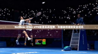 NetGear IPSec VPN配置实战指南，从基础搭建到安全优化