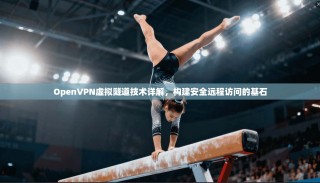 OpenVPN虚拟隧道技术详解，构建安全远程访问的基石