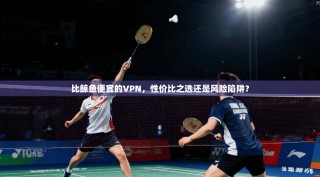 比鲸鱼便宜的VPN，性价比之选还是风险陷阱？