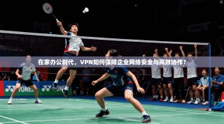 在家办公时代，VPN如何保障企业网络安全与高效协作？