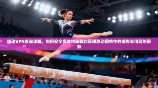 移动VPN查询详解，如何安全高效地获取和管理移动网络中的虚拟专用网络服务