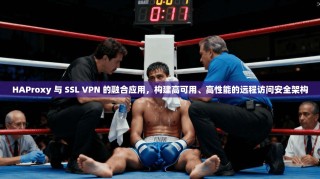 HAProxy 与 SSL VPN 的融合应用，构建高可用、高性能的远程访问安全架构