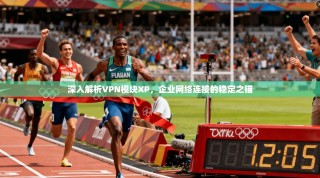 深入解析VPN模块XP，企业网络连接的稳定之锚