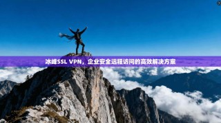 冰峰SSL VPN，企业安全远程访问的高效解决方案