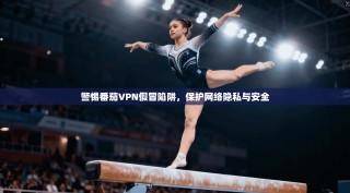 警惕番茄VPN假冒陷阱，保护网络隐私与安全