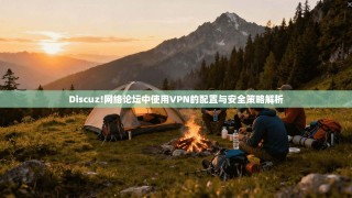 Discuz!网络论坛中使用VPN的配置与安全策略解析