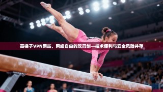 高梯子VPN网站，网络自由的双刃剑—技术便利与安全风险并存