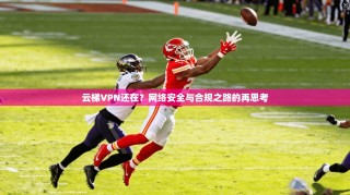 云梯VPN还在？网络安全与合规之路的再思考