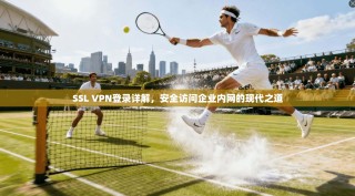 SSL VPN登录详解，安全访问企业内网的现代之道