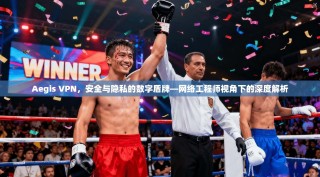 Aegis VPN，安全与隐私的数字盾牌—网络工程师视角下的深度解析