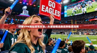 详解VPN地址填写方法，从基础概念到实际配置指南