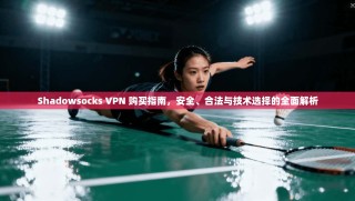 Shadowsocks VPN 购买指南，安全、合法与技术选择的全面解析