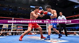 稳定收费VPN服务的选择与使用指南，安全、合规与性能的平衡之道