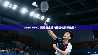 TUSBO VPN，网络安全性与便捷性的新选择？