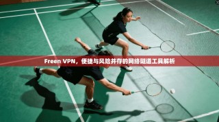 Freen VPN，便捷与风险并存的网络隧道工具解析