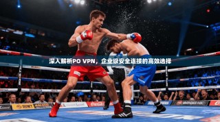 深入解析PO VPN，企业级安全连接的高效选择