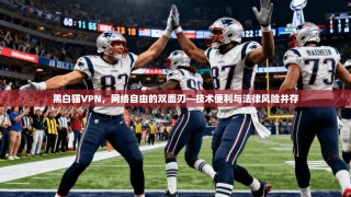 黑白猫VPN，网络自由的双面刃—技术便利与法律风险并存