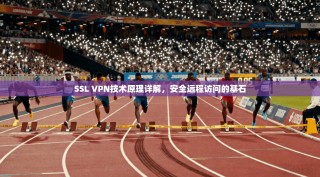 SSL VPN技术原理详解，安全远程访问的基石