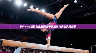 软件VPN插件在企业网络中的应用与安全风险解析