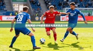 缅甸网络VPN使用现状与技术挑战分析