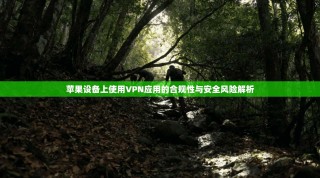 苹果设备上使用VPN应用的合规性与安全风险解析