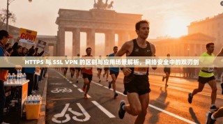 HTTPS 与 SSL VPN 的区别与应用场景解析，网络安全中的双刃剑