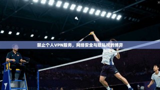 禁止个人VPN服务，网络安全与隐私权的博弈