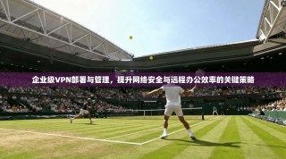 企业级VPN部署与管理，提升网络安全与远程办公效率的关键策略