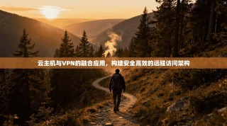 云主机与VPN的融合应用，构建安全高效的远程访问架构