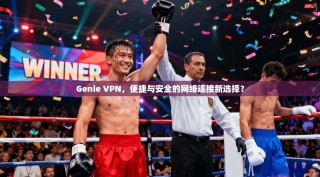 Genie VPN，便捷与安全的网络连接新选择？