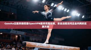 Conoha云服务器搭建OpenVPN服务完整指南，安全远程访问企业内网的实践方案