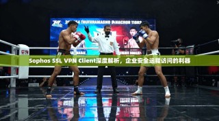Sophos SSL VPN Client深度解析，企业安全远程访问的利器