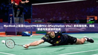MacBook上配置OpenVPN连接PSV（PlayStation Vita）的完整指南，网络穿透与安全访问实战
