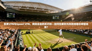 免费VPN与Speed VPN，网络自由的双刃剑—如何在便利与风险间做出明智选择？