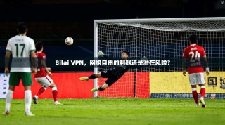 Bilai VPN，网络自由的利器还是潜在风险？