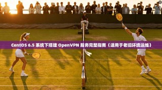 CentOS 6.5 系统下搭建 OpenVPN 服务完整指南（适用于老旧环境运维）