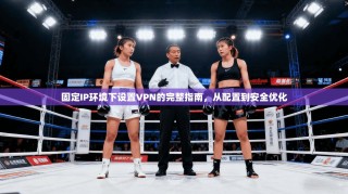 固定IP环境下设置VPN的完整指南，从配置到安全优化