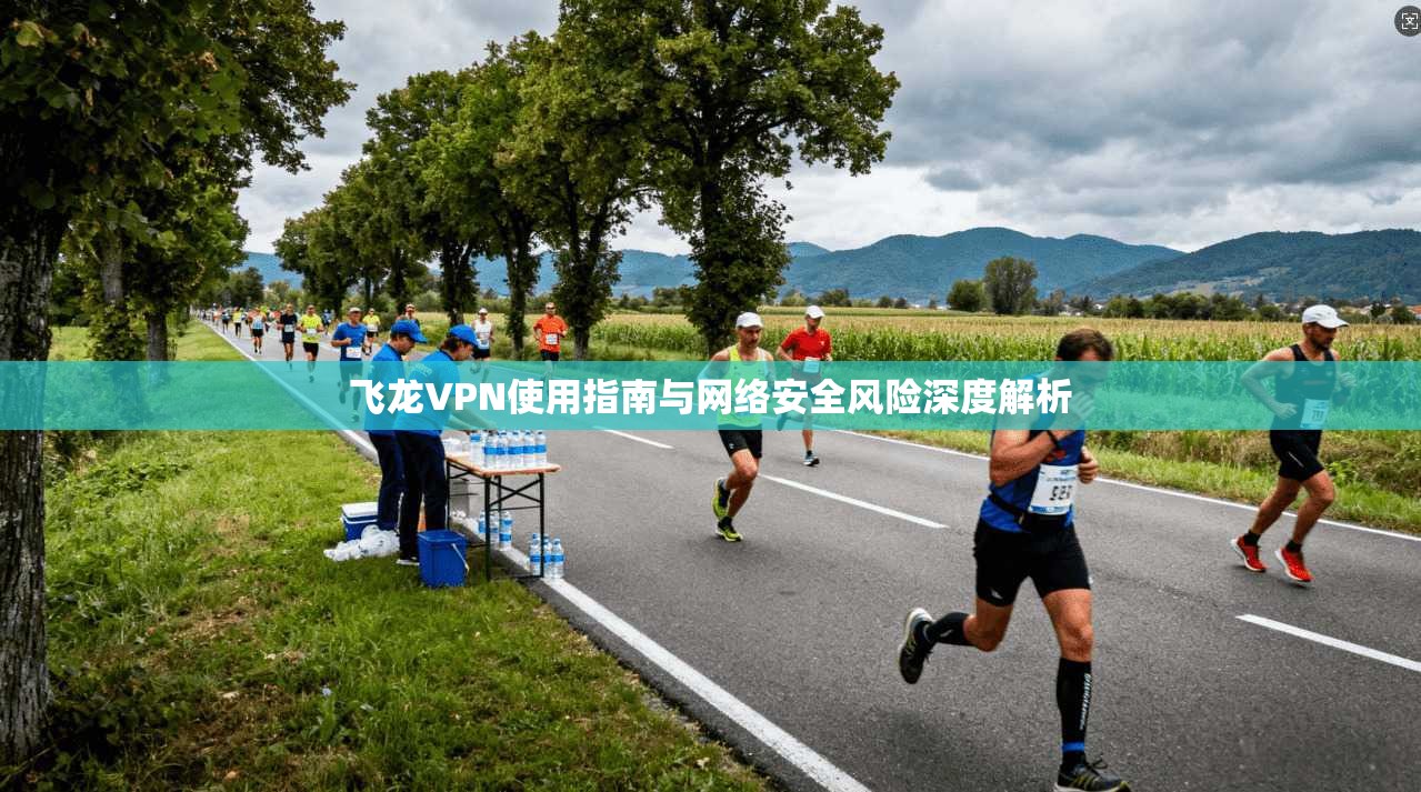 飞龙VPN使用指南与网络安全风险深度解析