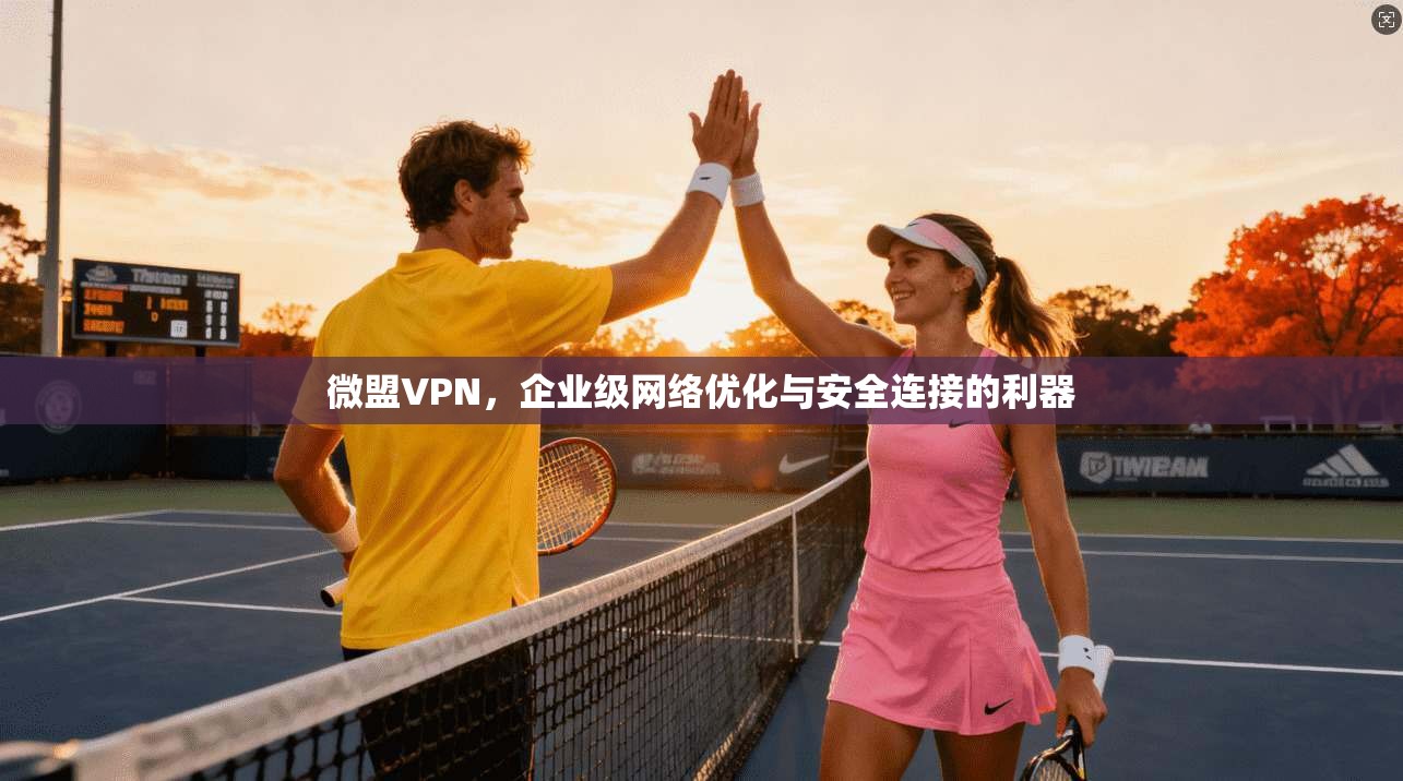 微盟VPN，企业级网络优化与安全连接的利器