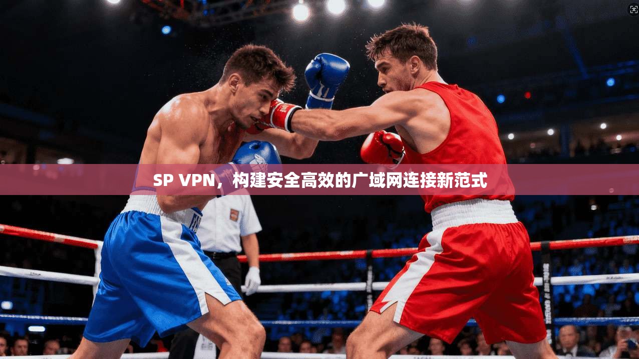 SP VPN，构建安全高效的广域网连接新范式