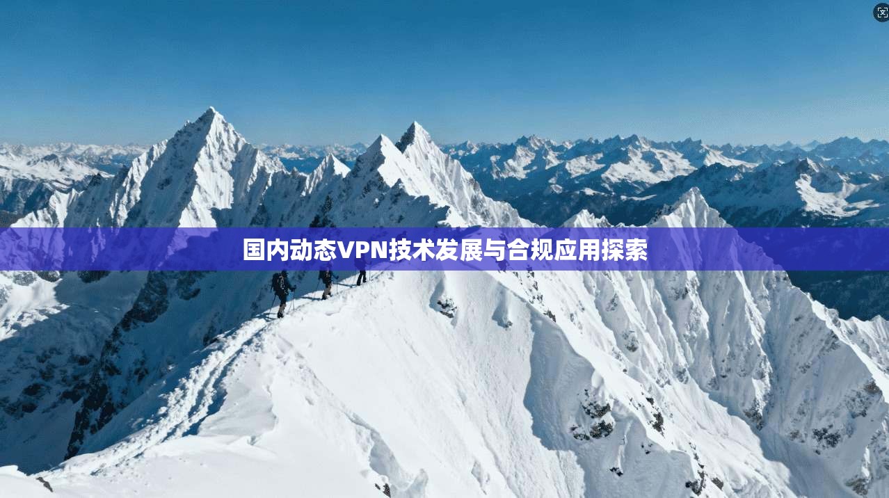 国内动态VPN技术发展与合规应用探索