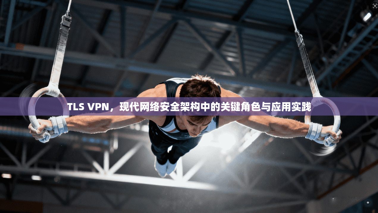 TLS VPN，现代网络安全架构中的关键角色与应用实践
