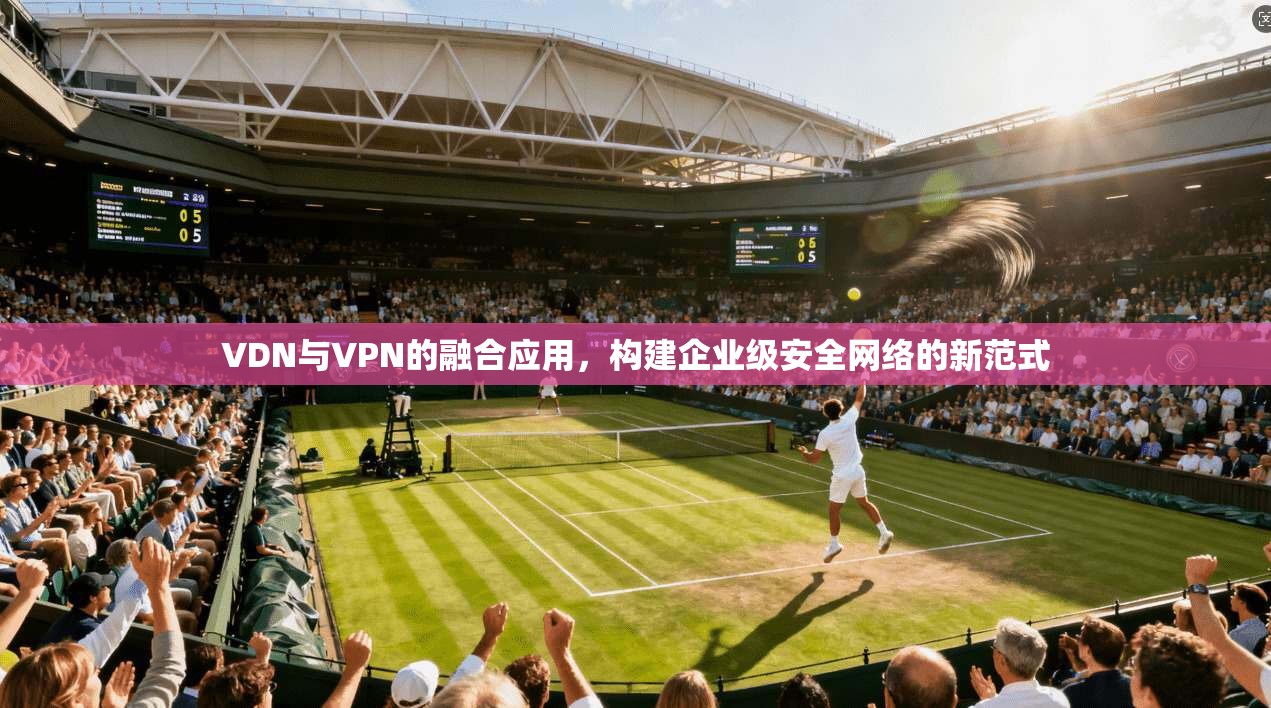 VDN与VPN的融合应用，构建企业级安全网络的新范式
