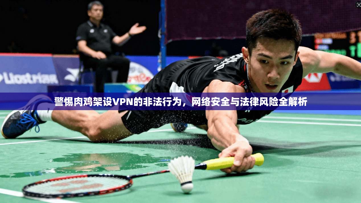 警惕肉鸡架设VPN的非法行为，网络安全与法律风险全解析
