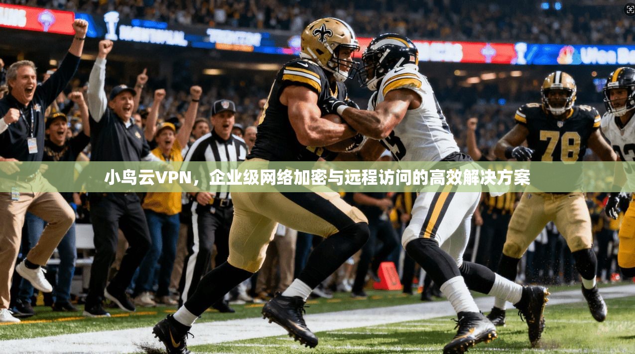 小鸟云VPN，企业级网络加密与远程访问的高效解决方案