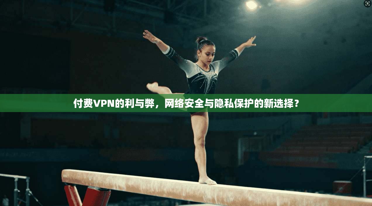 付费VPN的利与弊，网络安全与隐私保护的新选择？  第1张